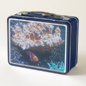 Clownfisch Metall Brotdose (Rückseite)