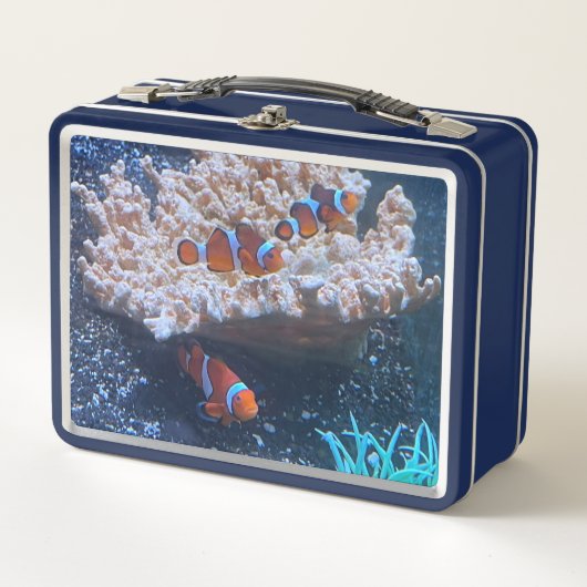 Clownfisch Metall Brotdose (Vorderseite)