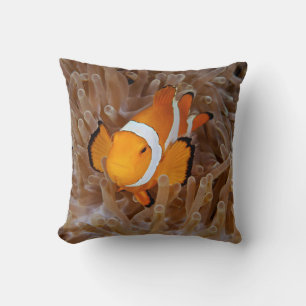 Clownfisch - Molokai, North Shore Cliff Kissen