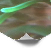 Clownfisch Poster (Ecke)