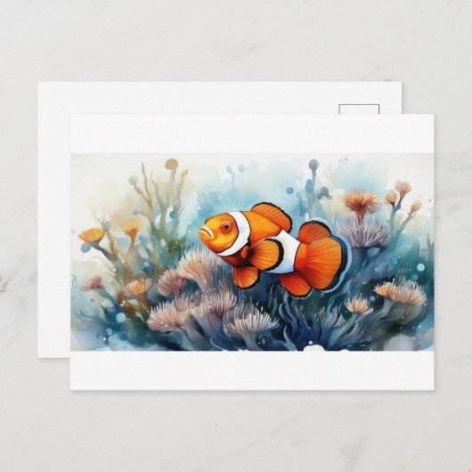 Clownfisch Postkarte (Vorne/Hinten)