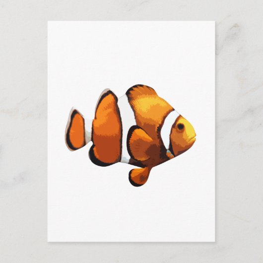 Clownfisch Postkarte (Vorderseite)
