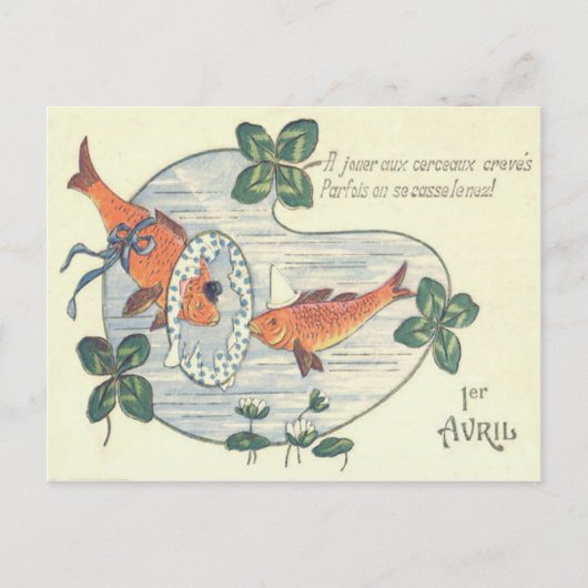 Clownfisch Seerose Postkarte (Vorderseite)