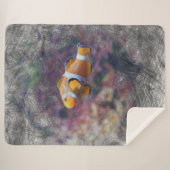 Clownfisch Sherpadecke (Vorderseite (Horizontal))