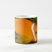 Clownfisch Weißer Kaffee Tasse (Mittel)