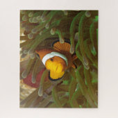 Clownfische im grünen Anemon. Coralreef Raja Ampat Puzzle (Vertikal)