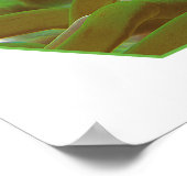 Clownfische im grünen Anemon. Fotografisches Desig Poster (Ecke)