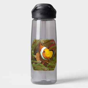 Clownfische im grünen Anemon. Fotografisches Desig Trinkflasche