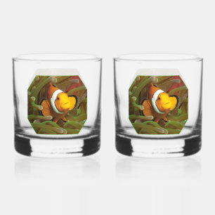 Clownfische im grünen Anemon. Fotografisches Desig Whiskyglas