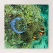 Clownfische Jigsaw Puzzle (Horizontal)