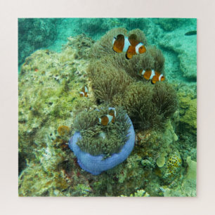 Clownfische Jigsaw Puzzle