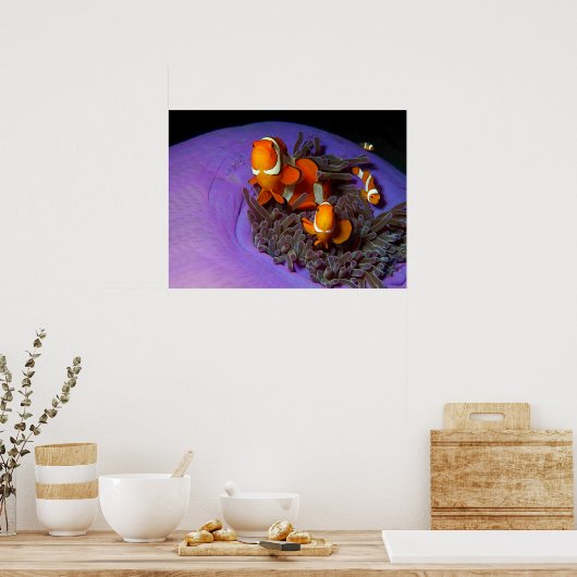 Clownfische sind immer in Bewegung | Busy Anemonef Poster (Küche)
