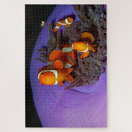 Clownfische sind immer in Bewegung | Busy Anemonef Puzzle (Vertikal)