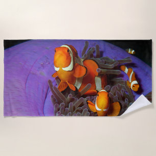 Clownfische sind immer in Bewegung Busy Anemonef Strandtuch