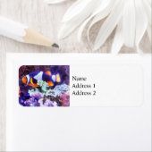 Clownfische und Korallen (Insitu)