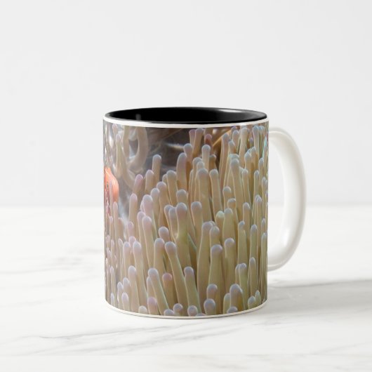 Clownfische Zweifarbige Tasse (VorderseiteRechts)