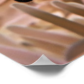 Clownfischgewächse Poster (Ecke)