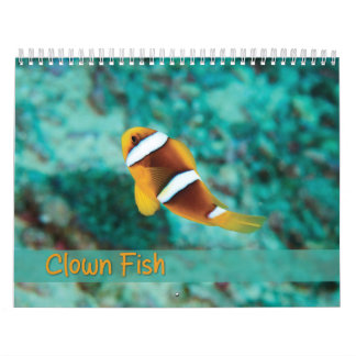 Clownfischkalender - Anemonenfisch Kalender
