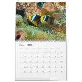 Clownfischkalender - Anemonenfisch Kalender (Jan 2026)