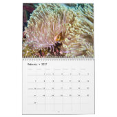 Clownfischkalender - Anemonenfisch Kalender (Feb 2027)