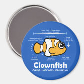 Clownfischstatistik Magnet (Vorderseite/Rückseite)