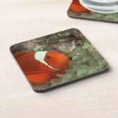 Clownfish 2 getränkeuntersetzer (Linke Seite)