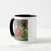 Clownfish 2 tasse (Vorderseite Links)