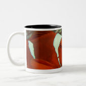 Clownfish 2 zweifarbige tasse (Links)