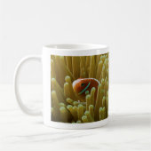 Clownfish auf der Great Barrier Reef Kaffee-Tasse Kaffeetasse (Links)