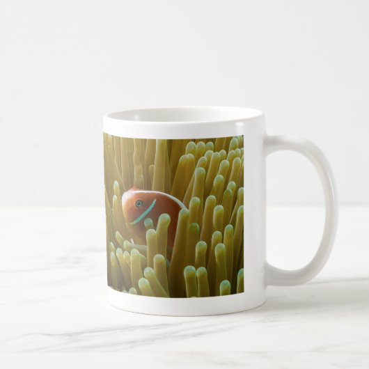 Clownfish auf der Great Barrier Reef Kaffee-Tasse Kaffeetasse (Rechts)