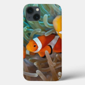 Clownfish Case-Mate iPhone Hülle (Rückseite)