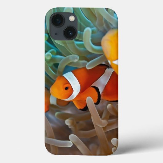 Clownfish Case-Mate iPhone Hülle (Rückseite)