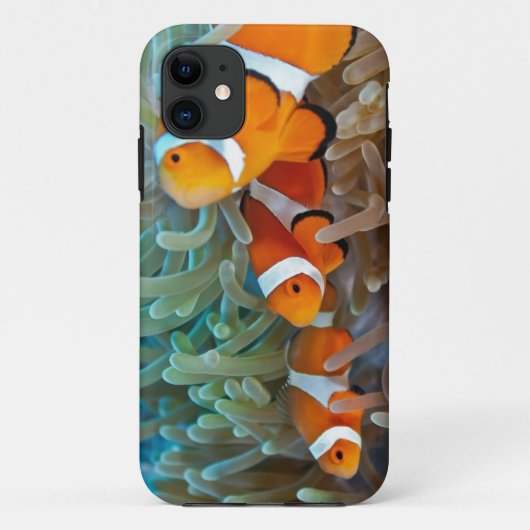 Clownfish Case-Mate iPhone Hülle (Rückseite)