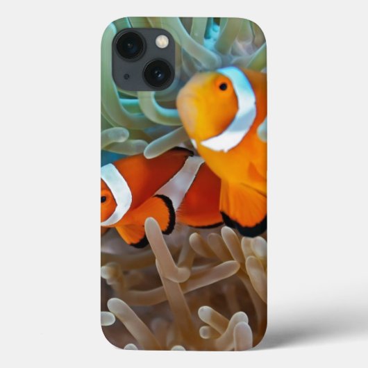 Clownfish Case-Mate iPhone Hülle (Rückseite)