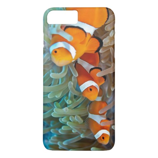 Clownfish Case-Mate iPhone Hülle (Rückseite)