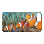Clownfish Case-Mate iPhone Hülle (Rückseite (Horizontal))