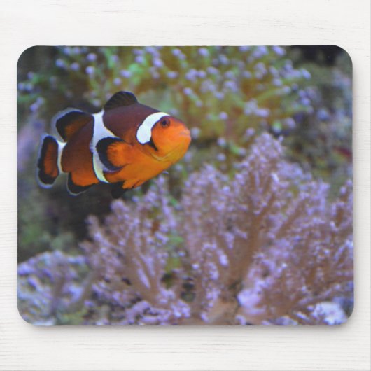 Clownfish Coral & Sea Anemone Unterwasser-Foto Mousepad (Vorne)
