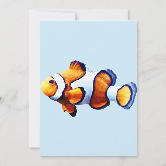 Clownfish Cutout (Vorderseite)