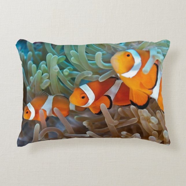 Clownfish Dekokissen (Vorderseite)
