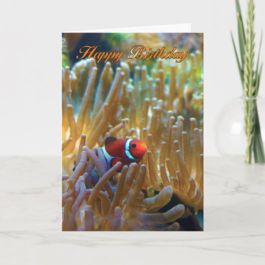 Clownfish Geburtstagskarte - Fotografy Card - Happ Karte (Vorderseite)