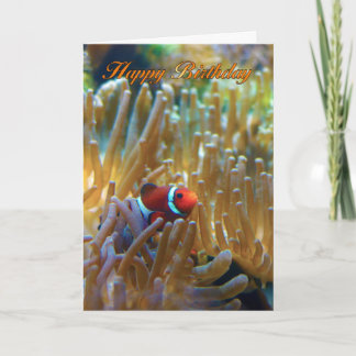 Clownfish Geburtstagskarte - Fotografy Card - Happ Karte