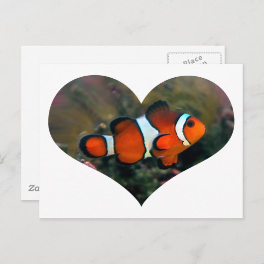 Clownfish Herz Postkarte (Vorne/Hinten)
