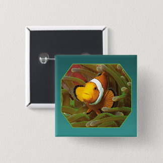 Clownfish in green anemone. Photographic Design |  Button
