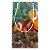 Clownfish Kleine Geschenktüte (Vorderseite)
