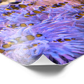 Clownfish-Koralle Fotodruck (Ecke)