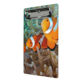 Clownfish Mini Klemmbrett (Gewinkelt2)