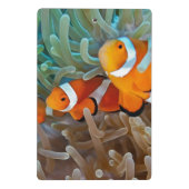 Clownfish Mini Klemmbrett (Rückseite)