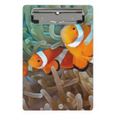 Clownfish Mini Klemmbrett (Vorderseite)