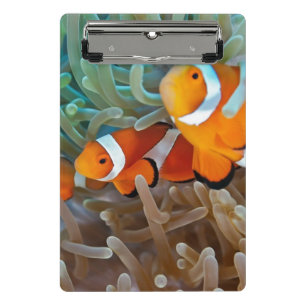 Clownfish Mini Klemmbrett