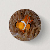 Clownfish - Molokai, North Shore Cliff Button (Vorderseite)